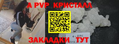 крисы Камышлов