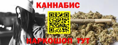 крисы Камышлов