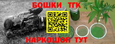 крисы Камышлов