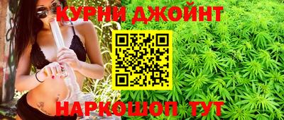 крисы Камышлов