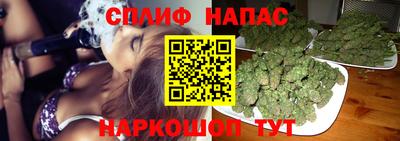 амф Кандалакша