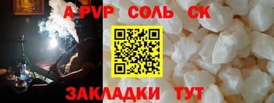 крисы Камышлов