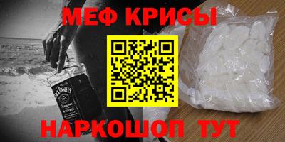 крисы Камышлов
