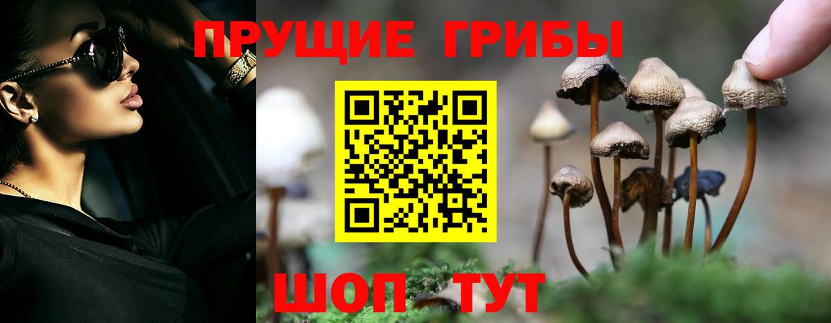 Галлюциногенные грибы мухоморы  Галлюциногенные грибы прущие грибы  Вход с VPN  Малгобек 